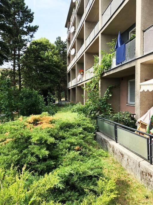 Mini Studio In Masaryk Quarter - Brno Apartment ภายนอก รูปภาพ